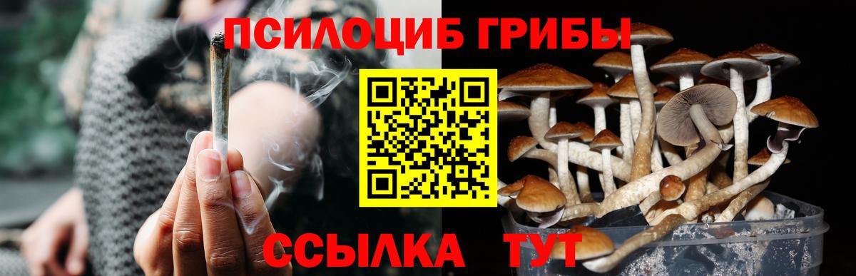 Псилоцибиновые грибы Psilocybe  Псилоцибиновые грибы Psilocybine cubensis  Дедовск  Вход с VPN 